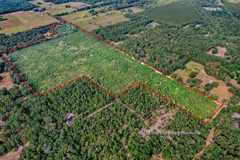 Land in Archer, Florida № 1244010 - photo 1