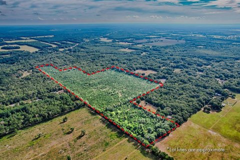 Terreno en venta en Archer, Florida № 1244010 - foto 4