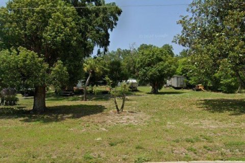 Land in Odessa, Florida № 1303263 - photo 1