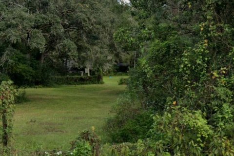 Terreno en venta en Lutz, Florida № 1356474 - foto 2