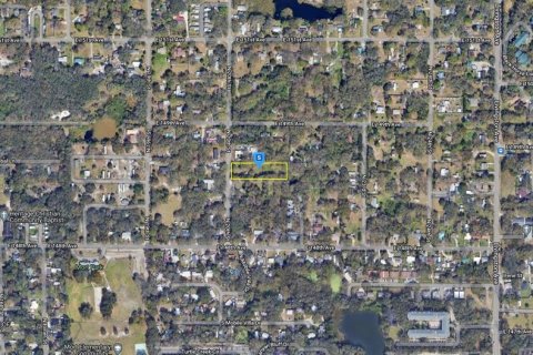 Land in Lutz, Florida № 1356474 - photo 3