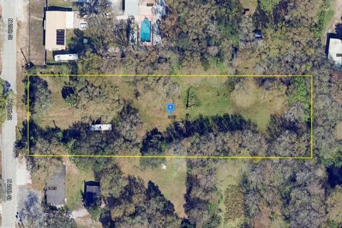 Land in Lutz, Florida № 1356474 - photo 1