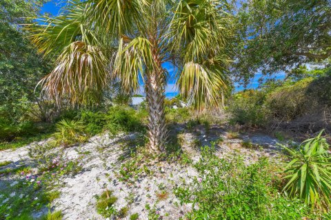 Villa ou maison à vendre à Hobe Sound, Floride: 3 chambres, 124.67 m2 № 1210590 - photo 7