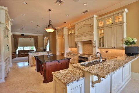 Villa ou maison à vendre à Ocala, Floride: 3 chambres, 768.02 m2 № 1430996 - photo 11