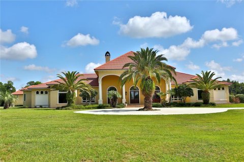 Villa ou maison à vendre à Ocala, Floride: 3 chambres, 768.02 m2 № 1430996 - photo 3