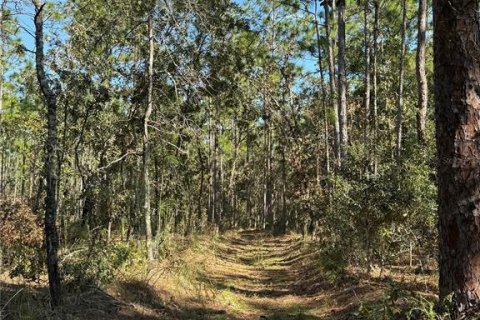 Terreno en venta en Brooksville, Florida № 1419315 - foto 3