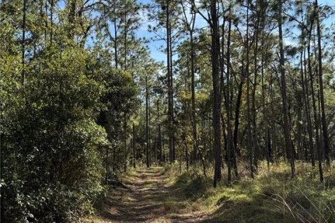 Terreno en venta en Brooksville, Florida № 1419315 - foto 4