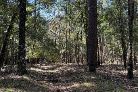 Terreno en venta en Brooksville, Florida № 1419315 - foto 2