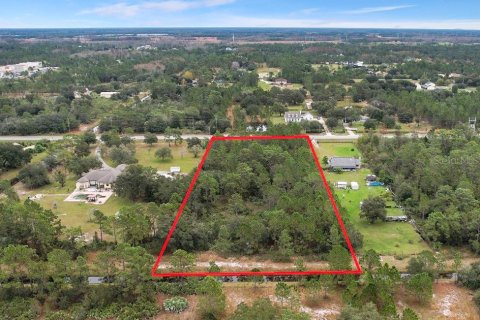 Terreno en venta en Orlando, Florida № 1403285 - foto 5