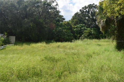 Land in Apopka, Florida № 1380709 - photo 7