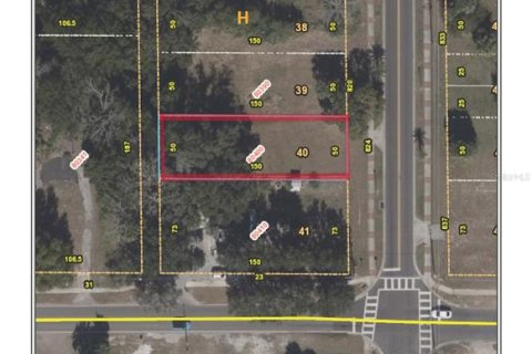 Terreno en venta en Apopka, Florida № 1380709 - foto 3