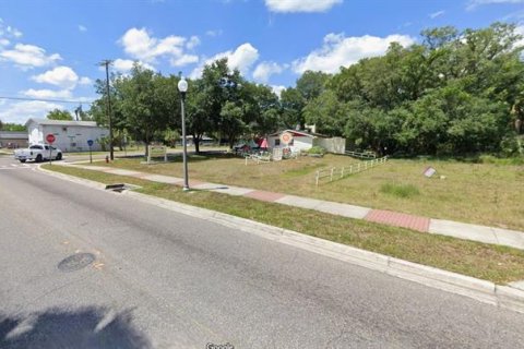 Land in Apopka, Florida № 1380709 - photo 4