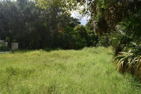 Terreno en venta en Apopka, Florida № 1380709 - foto 8