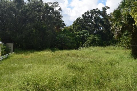 Terrain à vendre à Apopka, Floride № 1380709 - photo 6