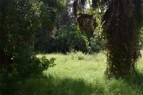 Terrain à vendre à Apopka, Floride № 1380709 - photo 9