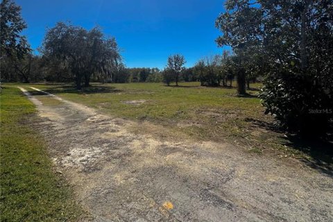 Land in Davenport, Florida № 1403502 - photo 5