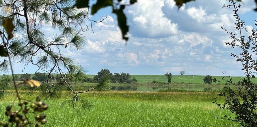 Terreno en Clermont, Florida № 1370995