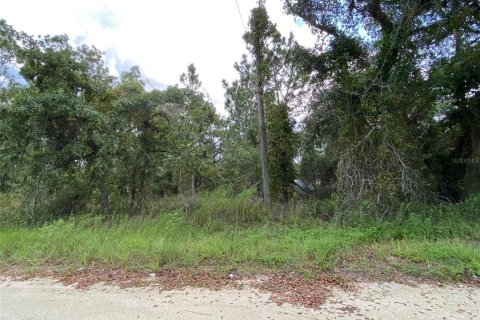 Terreno en venta en Weeki Wachee, Florida № 1347118 - foto 1