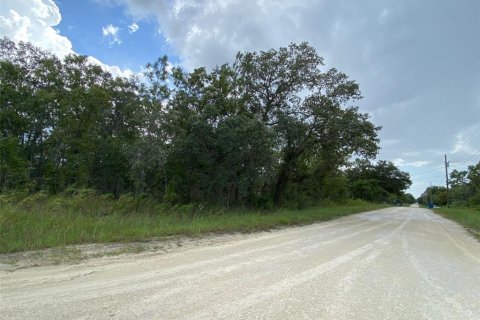 Land in Weeki Wachee, Florida № 1347118 - photo 5