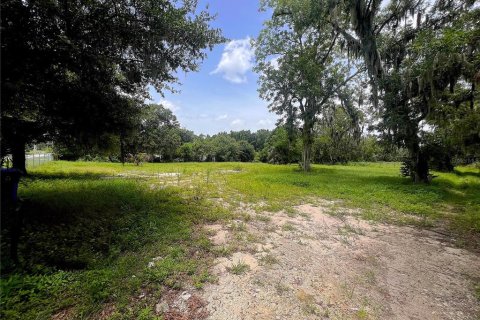 Terrain à vendre à Lakeland, Floride № 1268077 - photo 3