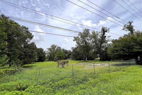 Land in Lakeland, Florida № 1268077 - photo 7