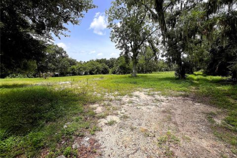 Land in Lakeland, Florida № 1268077 - photo 4