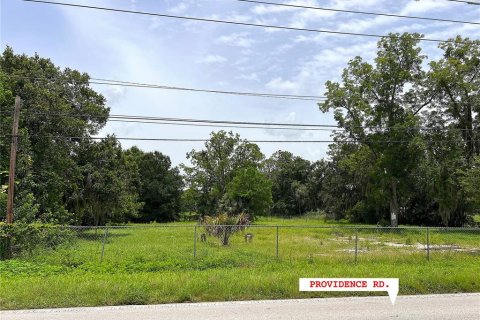 Land in Lakeland, Florida № 1268077 - photo 1