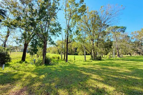 House in New Port Richey, Florida 2 bedrooms, 91.79 sq.m. № 1401965 - photo 2