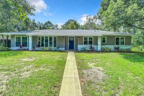 Villa ou maison à vendre à DeLand, Floride: 4 chambres, 270.07 m2 № 1334744 - photo 1