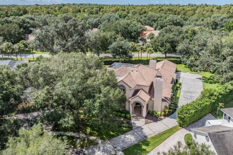 Villa ou maison à vendre à Tampa, Floride: 4 chambres, 399.85 m2 № 1380841 - photo 3