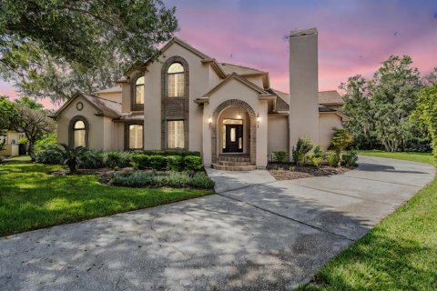 Villa ou maison à vendre à Tampa, Floride: 4 chambres, 399.85 m2 № 1380841 - photo 1