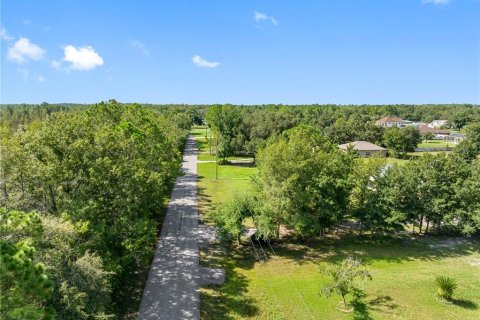 Land in Zephyrhills, Florida № 1343288 - photo 9