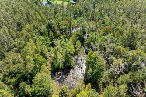 Terrain à vendre à Zephyrhills, Floride № 1343288 - photo 6