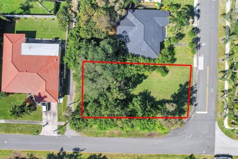 Купить земельный участок в Дания-Бич, Флорида № 1035811 - фото 5