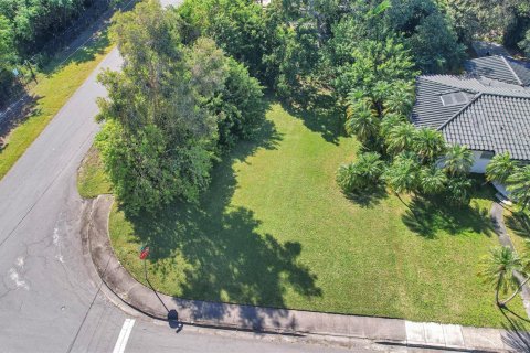 Купить земельный участок в Дания-Бич, Флорида № 1035811 - фото 1
