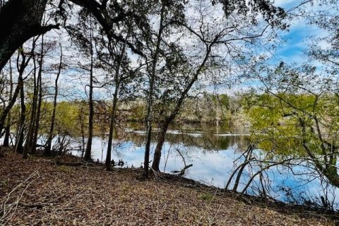 Land in Bell, Florida № 1297607 - photo 10