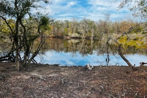 Land in Bell, Florida № 1297607 - photo 21