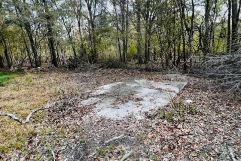 Terreno en venta en Bell, Florida № 1297607 - foto 8