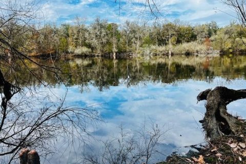 Land in Bell, Florida № 1297607 - photo 1