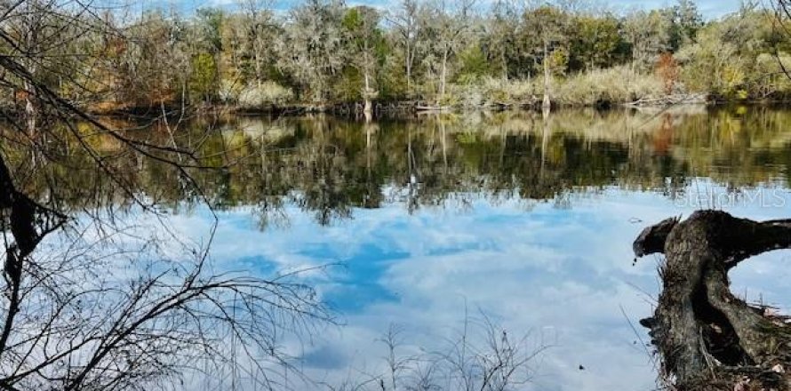 Terreno en Bell, Florida № 1297607