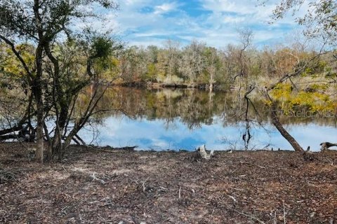 Land in Bell, Florida № 1297607 - photo 6