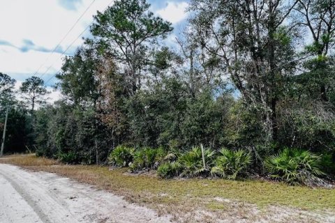 Terreno en venta en Bell, Florida № 1297607 - foto 16