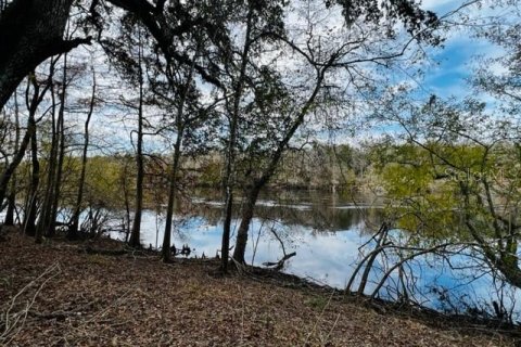 Land in Bell, Florida № 1297607 - photo 26