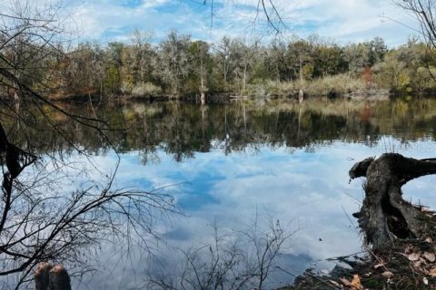 Land in Bell, Florida № 1297607 - photo 23