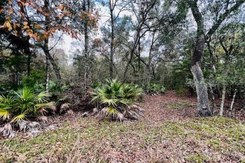 Terreno en venta en Bell, Florida № 1297607 - foto 15