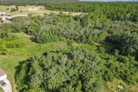 Terrain à vendre à Kissimmee, Floride № 1297609 - photo 26