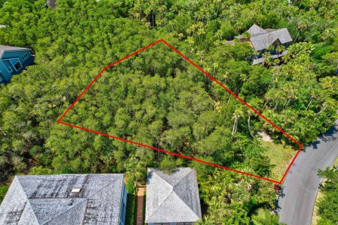 Terreno en venta en Hobe Sound, Florida № 1171152 - foto 12