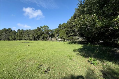 Terrain à vendre à Ocala, Floride № 1338456 - photo 4