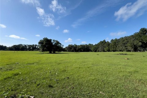 Terrain à vendre à Ocala, Floride № 1338456 - photo 9