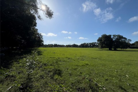 Terrain à vendre à Ocala, Floride № 1338456 - photo 5